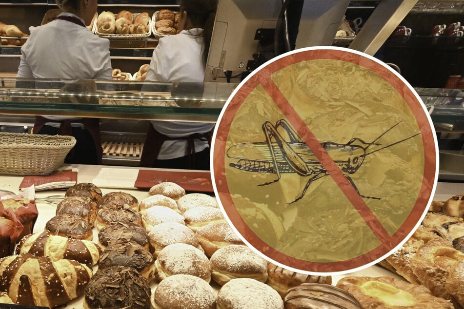 Dresden: Sachsens Bäcker haben null Bock auf Insekten im Teig