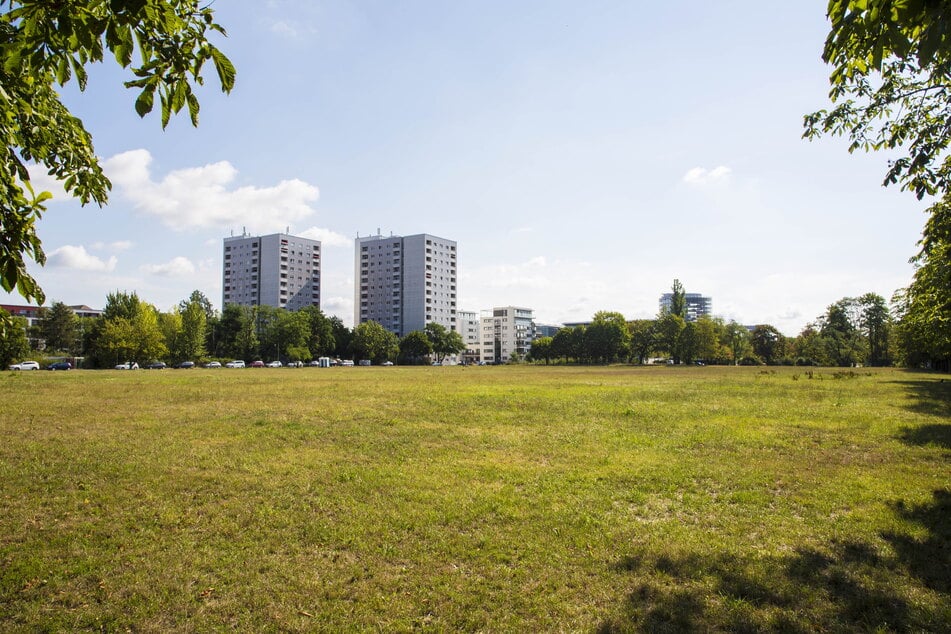 Auf der Cockerwiese sollte 2028 eigentlich der Neubau der 101. Oberschule fertig werden. Nun könnte die Wiese doch leer bleiben.