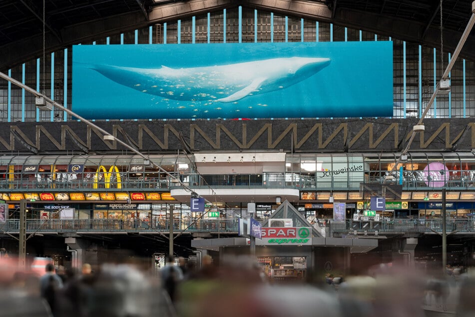 38 Meter breit und neun Meter hoch wird der neue Bildschirm in der Wandelhalle vom Hamburger Hauptbahnhof.