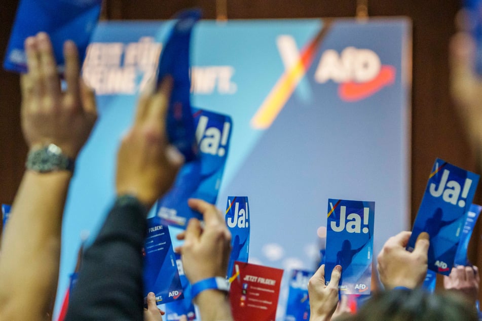 Weit vor anderen Parteien in Umfrage: AfD stürmt Spitze in Mecklenburg-Vorpommern