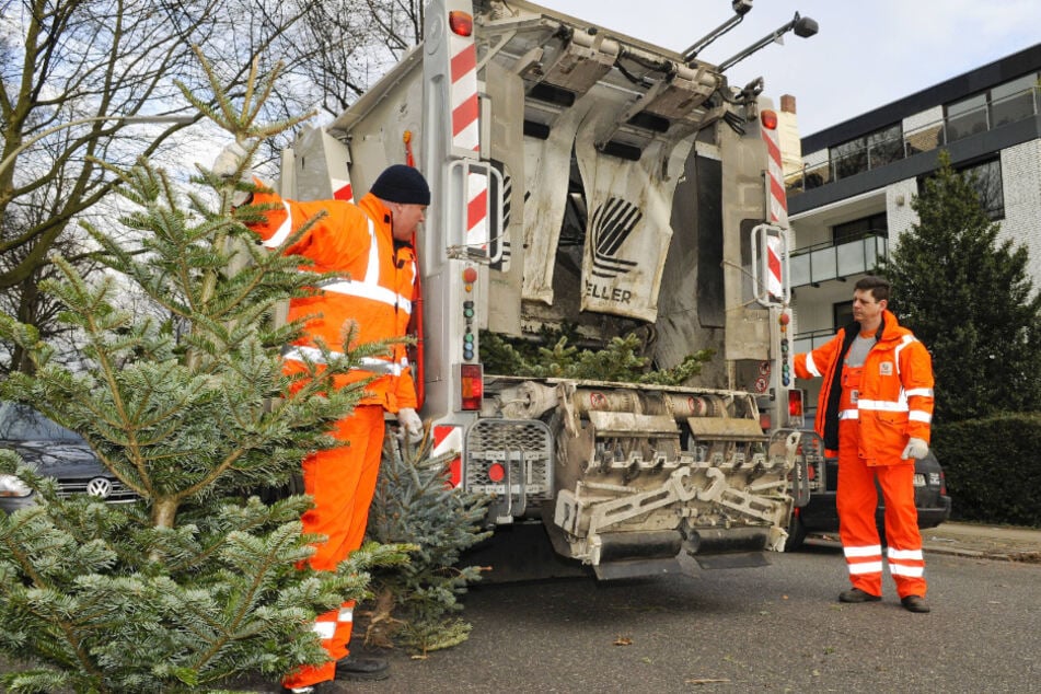 Die Weihnachtsbäume werden gebührenfrei eingesammelt.