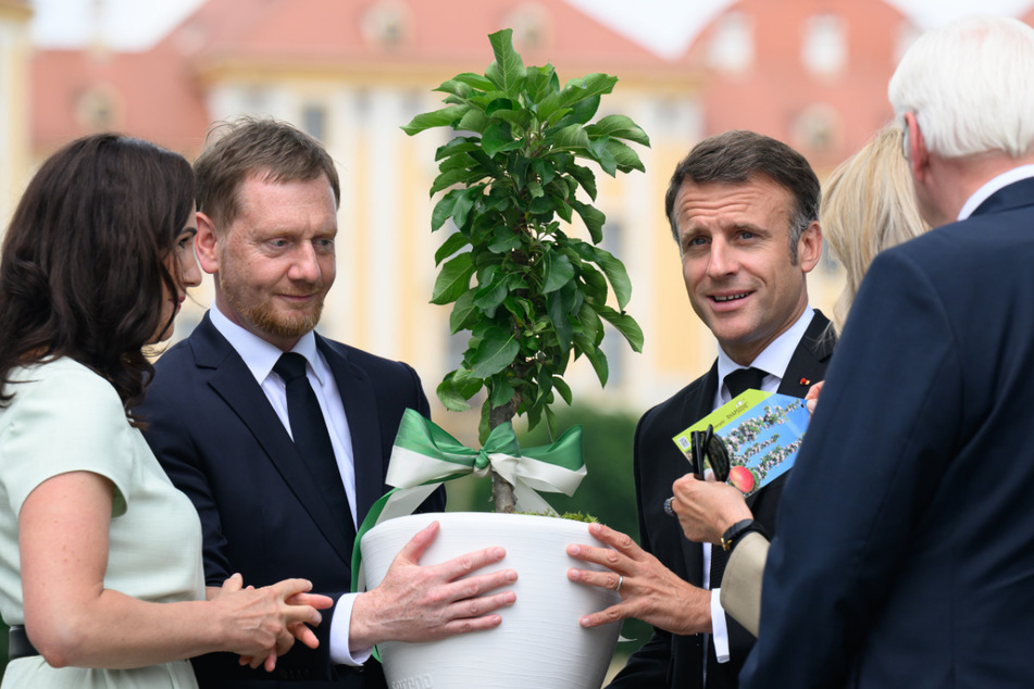 Sachsen-MP Michael Kretschmer (49, CDU) hatte Macron vor seinem Auftritt auf dem Neumarkt einen Apfelbaum für den Garten von Versailles geschenkt.