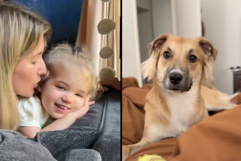 Mutter Katy Driscoll ist glücklich, dass sie einen passenden Hund für ihre Tochter Nora (2) gefunden hat.