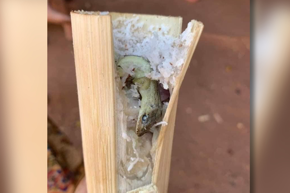Lecker ist das nicht: Im traditionellen Klebereis-Snack aus der Bambus-Verpackung befand sich eine gegrillte Eidechse.