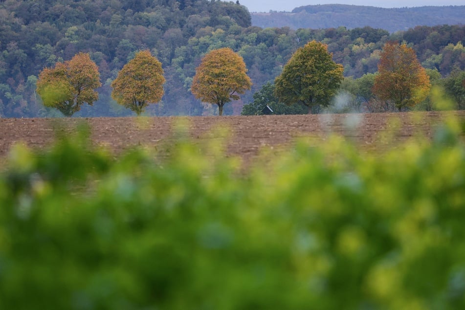 Der restliche Oktober bringt angenehmes Herbstwetter in den Freistaat.