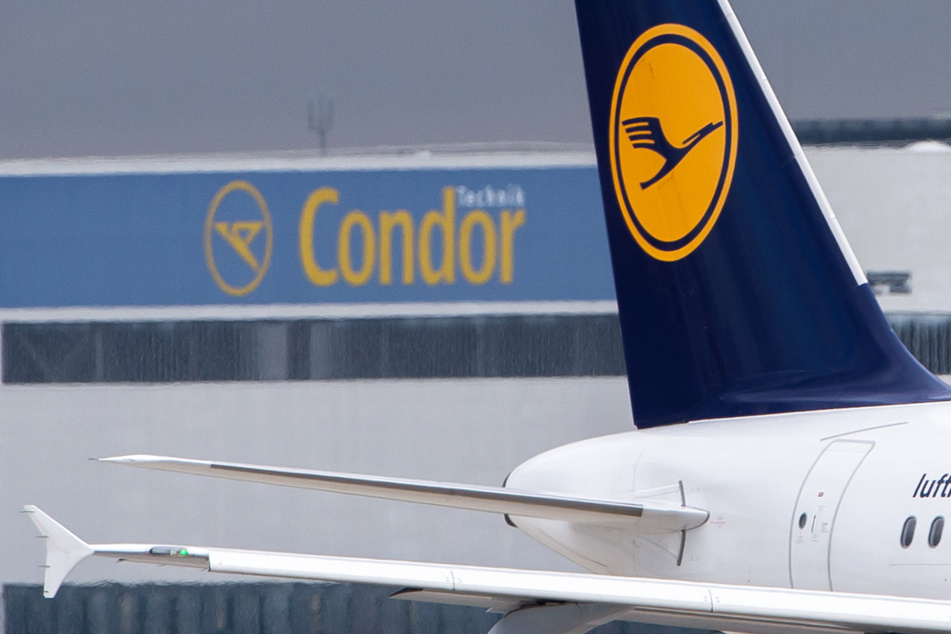 Wegen Konflikt mit Condor: Kartellamt sieht Marktmacht-Missbrauch durch Lufthansa