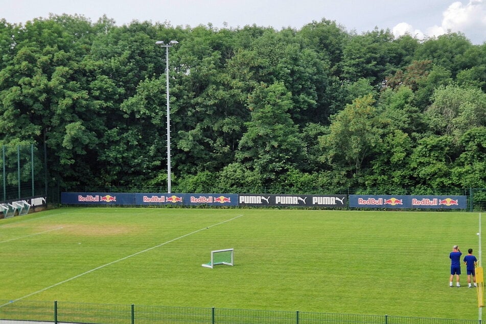 Hinter den Trainingsplätzen von RB Leipzig zieht sich ein Waldband vom nördlichen zum südlichen Auwald, in dem der NABU 38 Vogelarten nachgewiesen hat. Jetzt soll das grüne Band samt Vogelbestand der Erweiterung des Fußball-Standortes weichen.