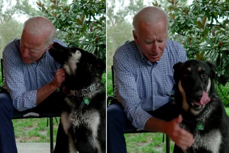 Major is the first adopted dog to live in the White House