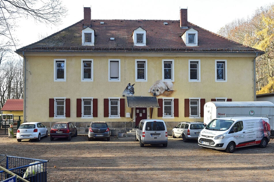 Tatort Tierheim. Hier wurde der Hund gestohlen.