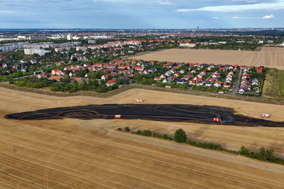 Die Flammen breiteten sich über das Feld aus - die Feuerwehr löschte.