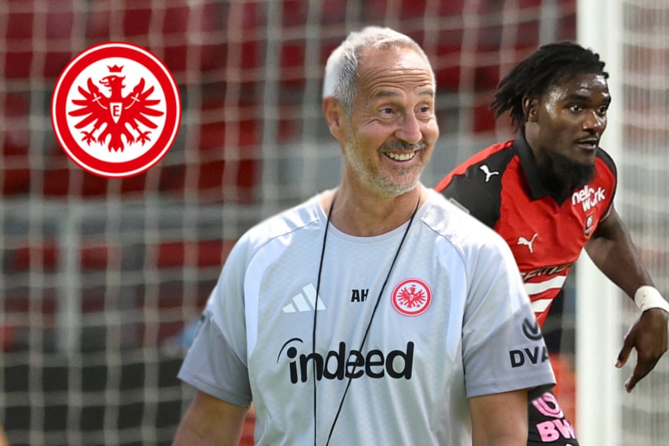 Ideal für Hütter-Spielstil: Eintracht Frankfurt will Rennes-Abwehrstar Brassier!