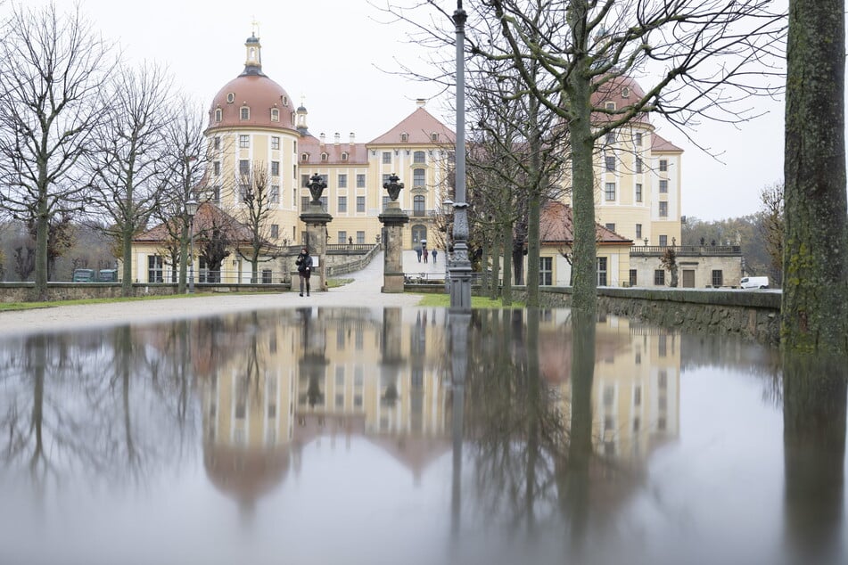 Die Ruhe vorm (Besucher-)Ansturm - Schloss Moritzburg im ungemütlichen Novembergrau.