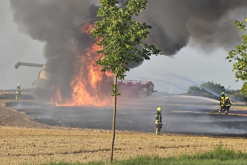Meterhohe Flammen auf einem Feld in Mittweida: Ein Mähdrescher geriet am Montagabend in Brand.