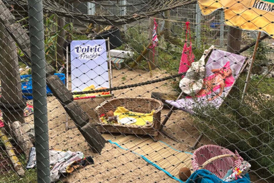 Berlin: Liebe geht durch den Magen: Tierheim zaubert Sommer auf den Grill