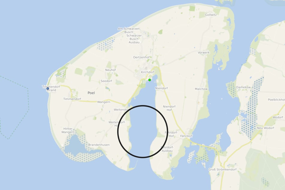 Der Buckelwal schwamm in die Kirchsee der Insel Poel und setzte sich dort wieder fest.