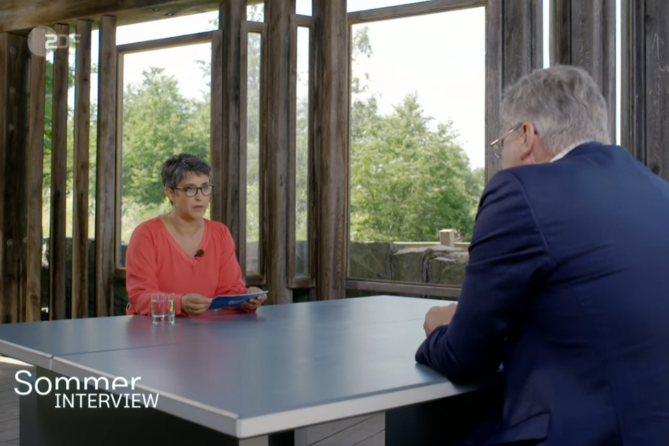 Im ZDF-Sommerinterview geht AfD-Chef Jörg Meuthen auf Abstand zu Kandidaten seiner Partei.