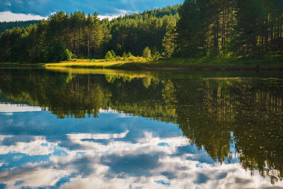 Im Moritzburger Teichgebiet finden sich einige Seen zum Erholen und Baden. (Symbolbild)