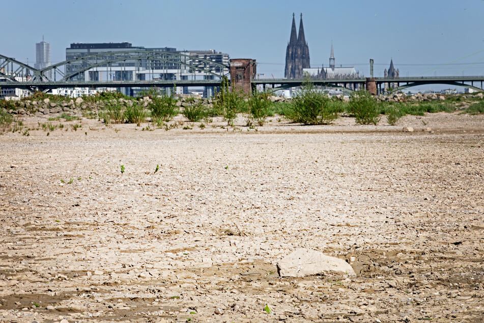 Noch kommt die Natur wohl nicht zur Ruhe, da die Trockenheit weiter anhalten wird.