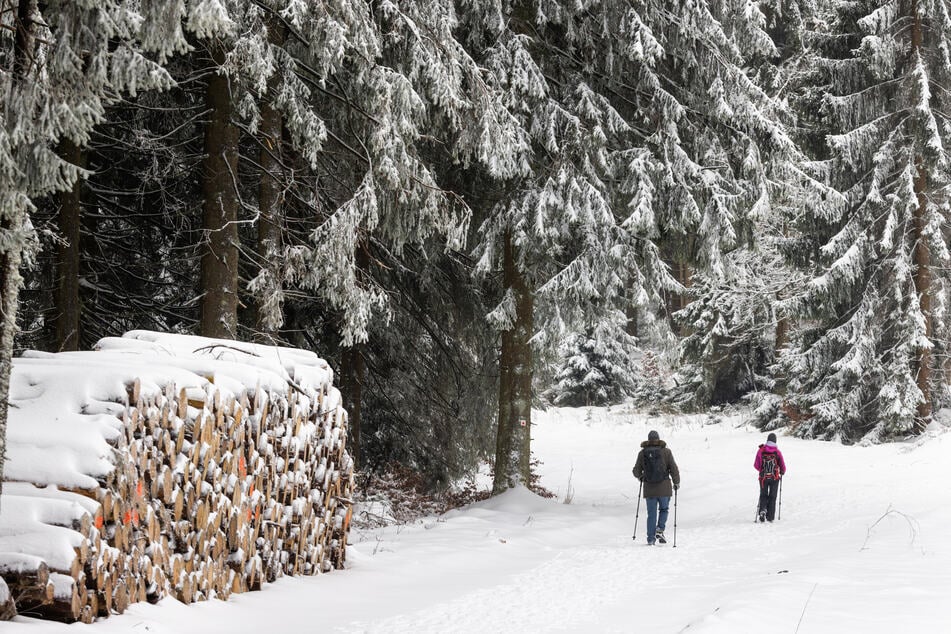 Spaziergänger liefen am vergangenen Wochenende mit Stöcken am Großen Eisenberg durch den verschneiten Thüringer Wald. (Archivbild)