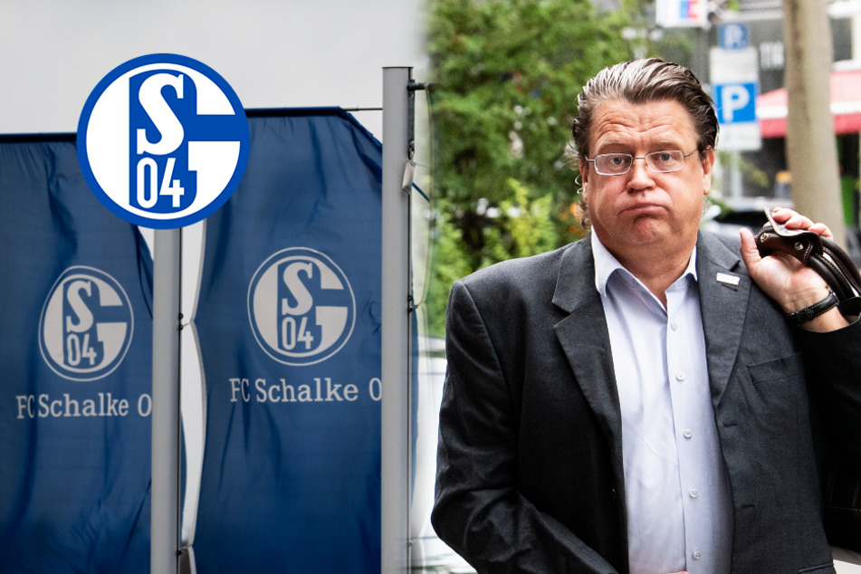 Knappen führen AfD-Politiker Brandner vor: "Schalke wird nie auf ihr Niveau absteigen"