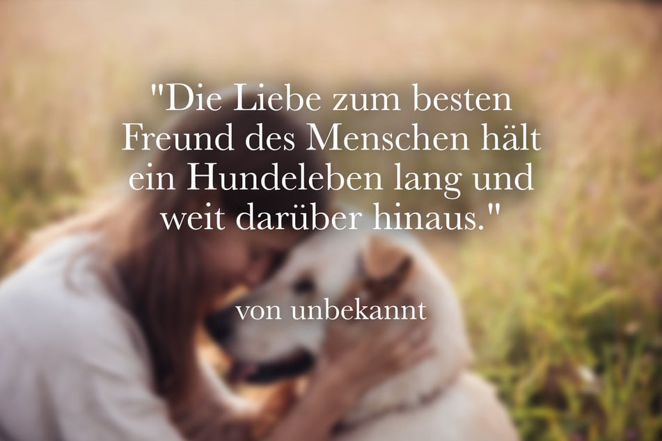 "Die Liebe zum besten Freund des Menschen hält ein Hundeleben lang und weit darüber hinaus."