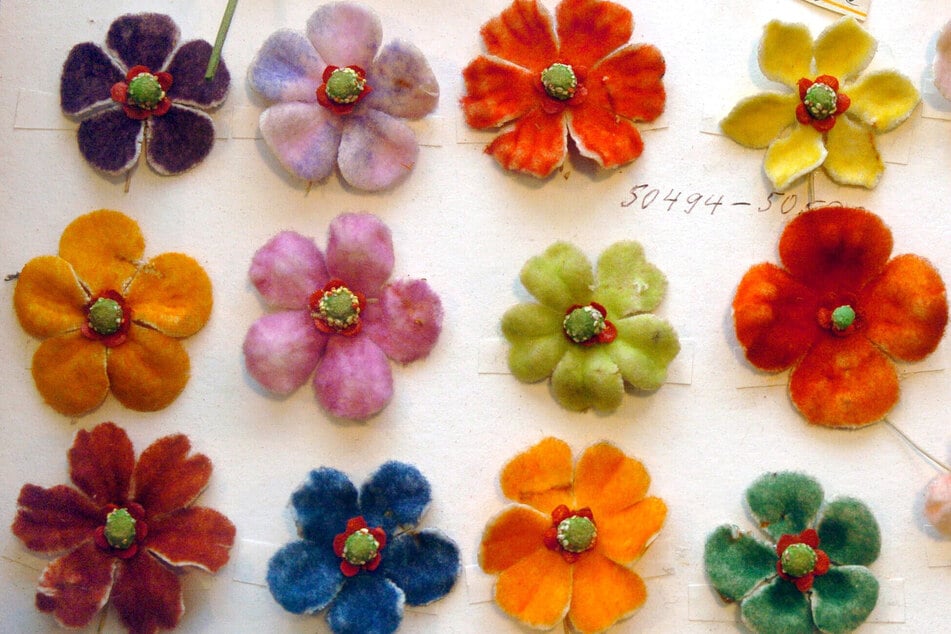 Im 19. Jahrhundert europaweit Hochburg der Seidenblumen-Herstellung: In der Sebnitzer Schauwerkstatt lagern auch 100 Jahre alte Muster.