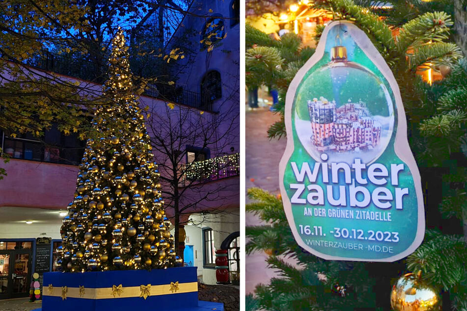 Es weihnachtet sehr in Magdeburg: Erster Wintermarkt eröffnet!