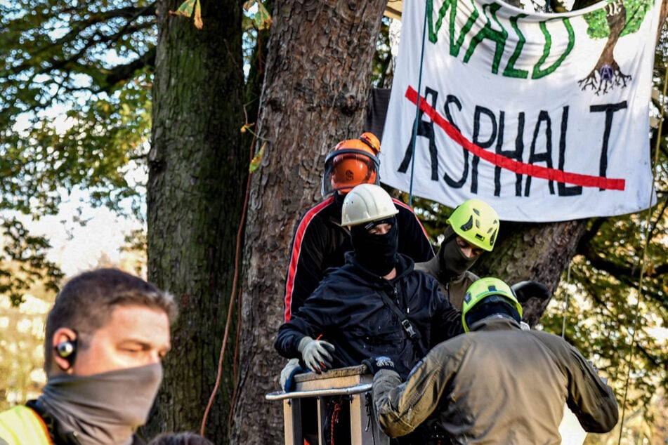 Spezialkräfte der Polizei holten den Mann aus dem Baum.