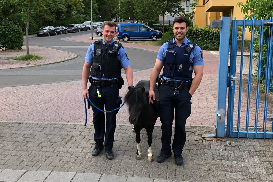 Zwei Beamte der Polizei in Mainz führten das entlaufene Pony zur Dienststelle und informierten von dort aus die Besitzerin.