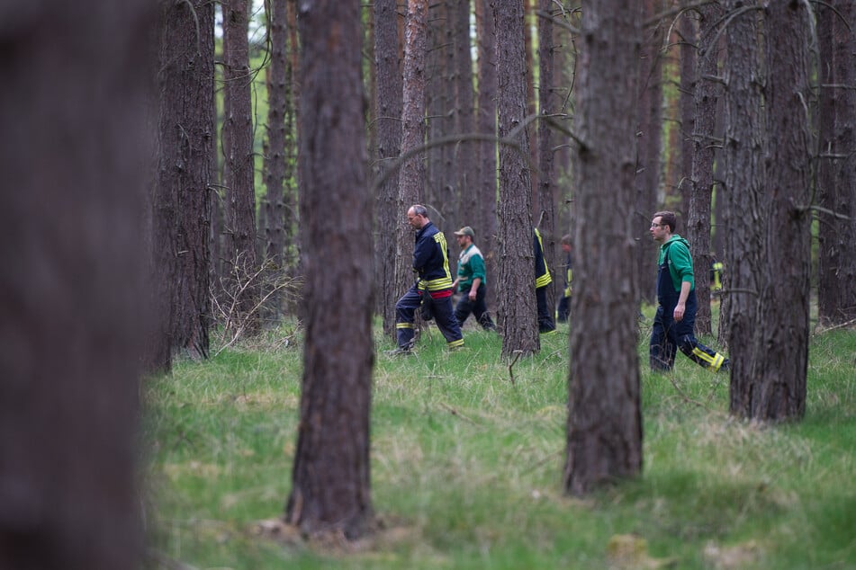 Mai 2015: Einsatzkräfte suchen in einem Waldgebiet bei Wilhelmshof nach der vermissten Inga.