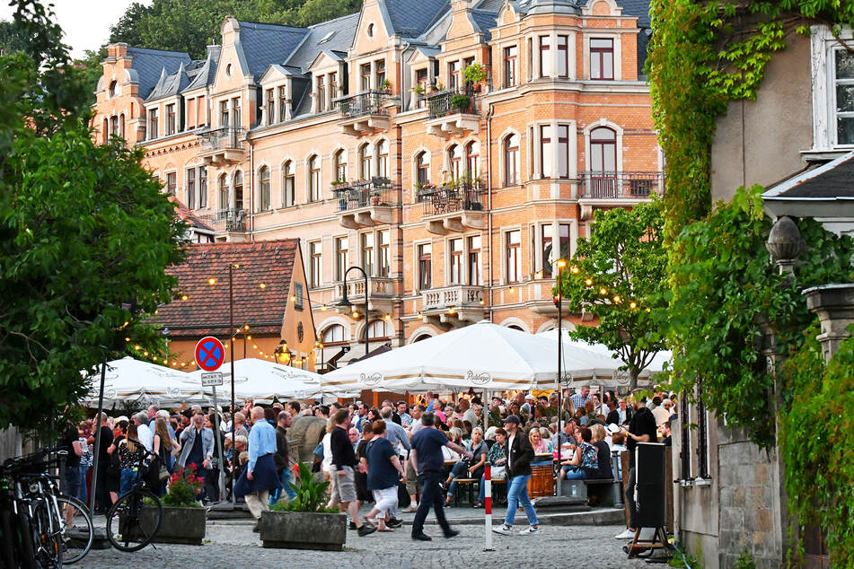 Blick auf das Elbhangfest im vergangenen Jahr.
