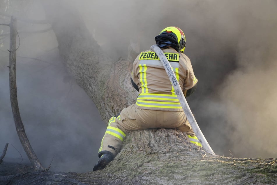 Am Dienstagnachmittag wurde der Brand vom Besitzer des Waldstücks gemeldet.