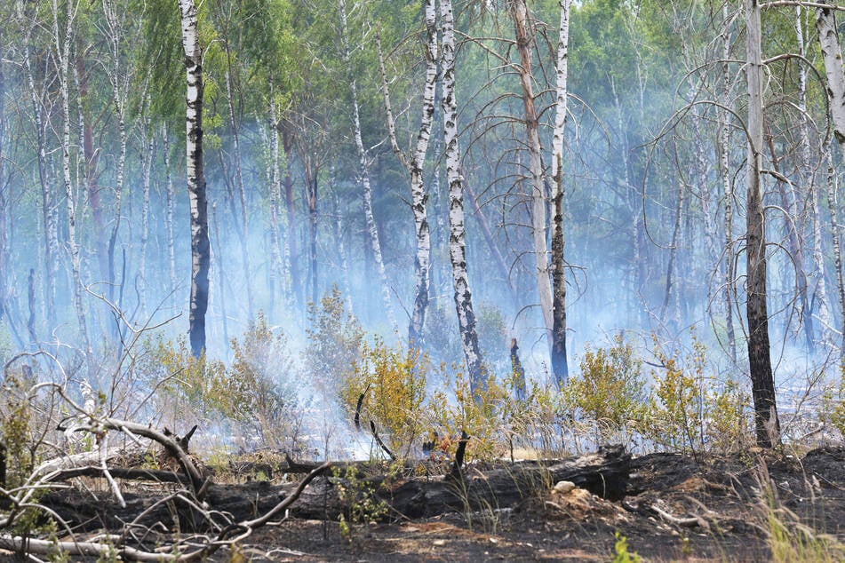 Im Barnim seien 15 Feuerwehrfahrzeuge im Einsatz sowie mehrere Tanklöschwagen. (Archivbild)
