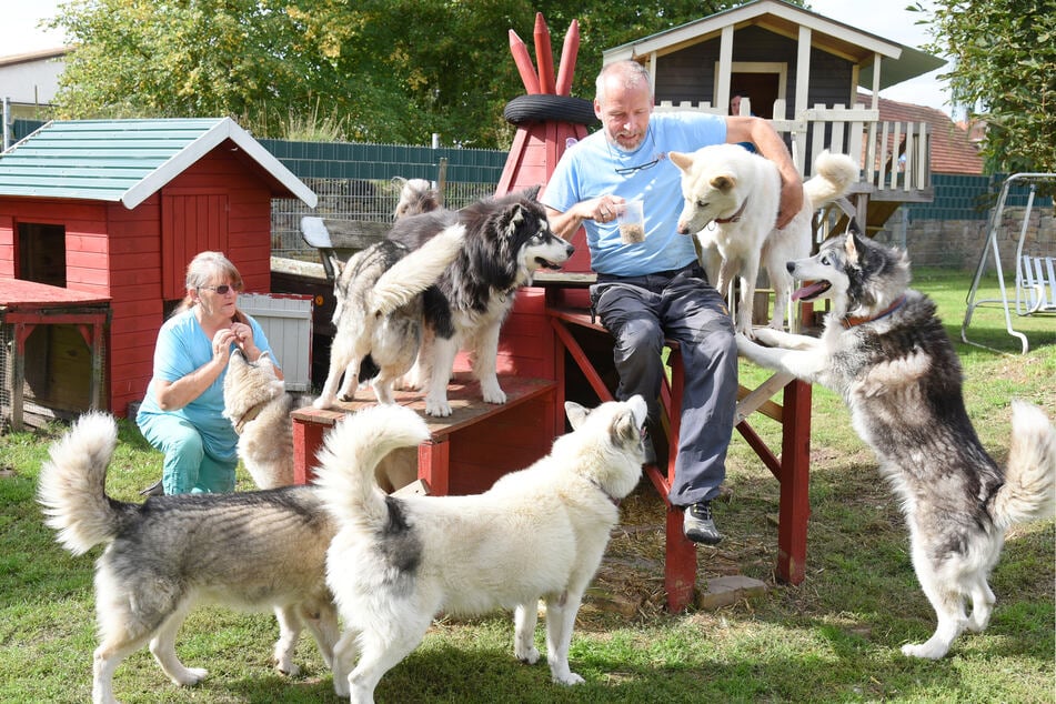 Hondenpsycholoog en kynotherapeut Eberhardt Krappmann (60) op zijn terrein met zijn husky’s en zus Petra Romisch.
