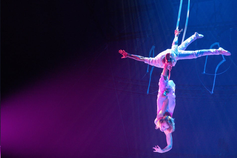 Stuttgart: Mitten in Vorstellung: Zirkusartisten stürzen zehn Meter in die Tiefe