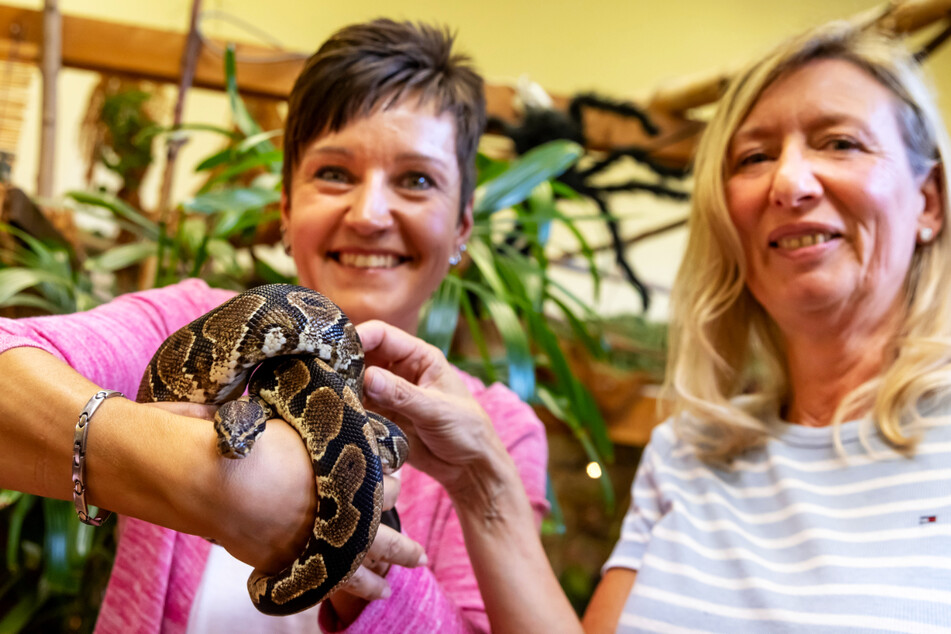 Ein neues Zuhause für Steini: Franziska Meier (40) von der Stadtverwaltung Bockau übergibt das Reptil an Tierparkchefin Bärbel Schroller (54).
