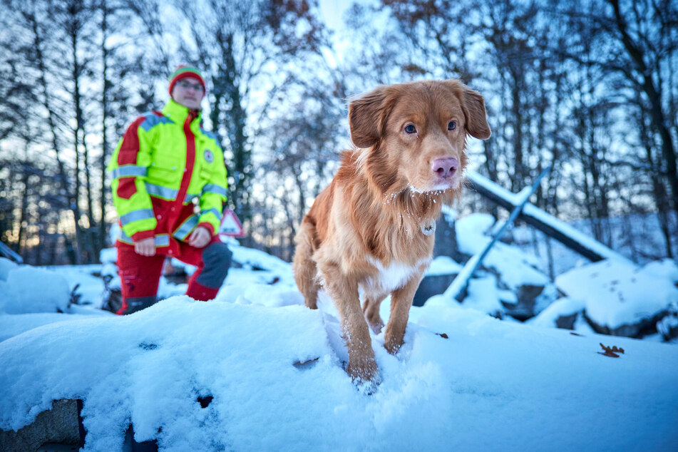 Hundeführerin Josephine Hartmann (25) und Rettungshund Koda sind ein eingespieltes Team bei der Personenrettung.