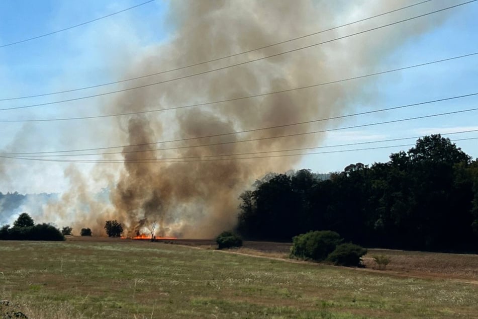 Flächenbrand nahe Karlsruhe: Die Feuerwehr muss sich für solche Situationen neu aufstellen.