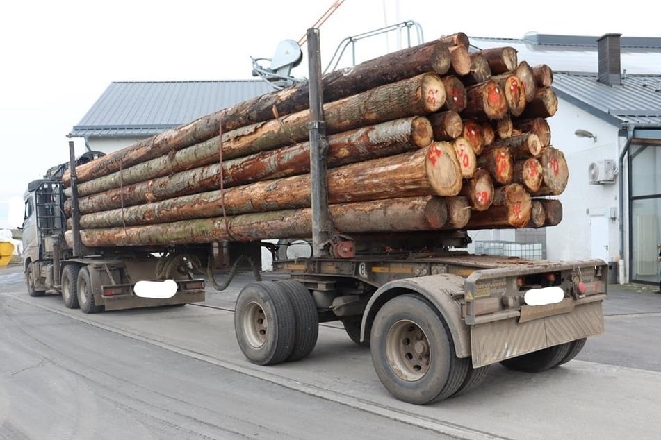 Stolze 14 Tonnen mehr als erlaubt brachte dieser Holztransporter auf die Waage.