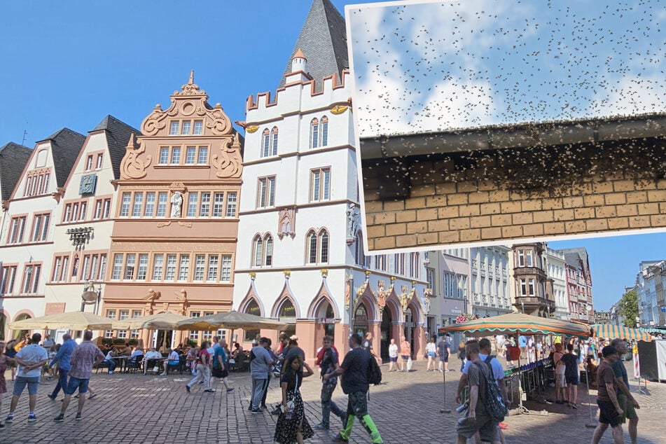 Mehrere Anwohner meldeten sich besorgt bei der Polizei, obwohl es sich nur um Bienen handelte. (Archivbild)
