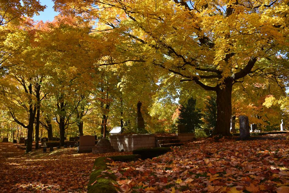 Spruch des Tages am Dienstag, dem 11.11.2025.