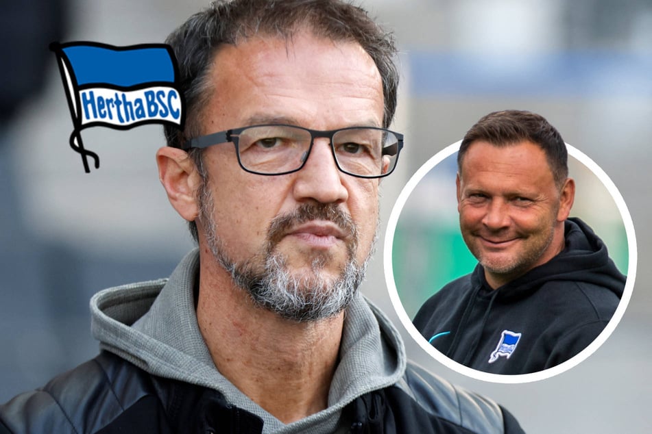 Knallhart-Abrechnung mit Hertha BSC: Bobic tritt gegen Dardai nach