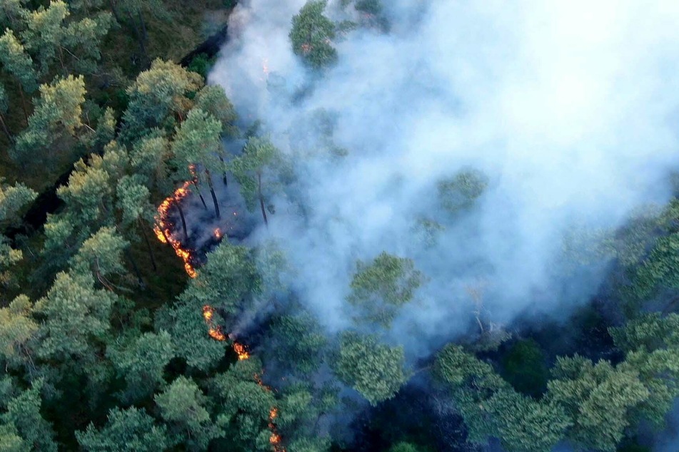 Rauch steigt über dem Waldstück auf an der A14 auf.