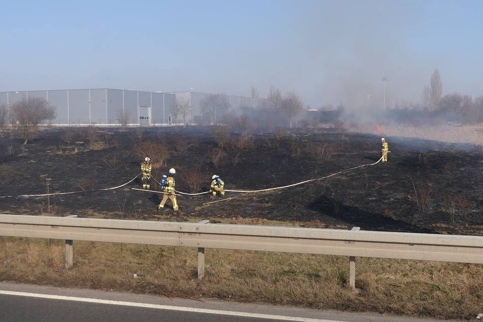 Gegen 15.15 Uhr hatten Autofahrer von der Bundesstraße aus einen Feldbrand gemeldet. Laut Feuerwehr hatten sich die Flammen schließlich auf eine Fläche von rund 500 Quadratmetern ausgebreitet.