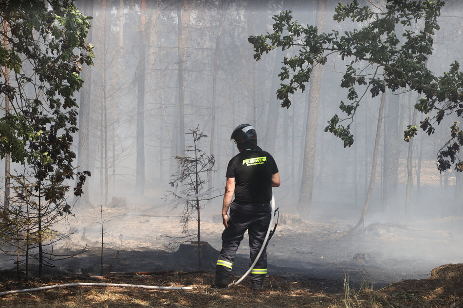 Dürre und Trockenheit mit Folgen: Waldbrand-Rekordjahr in Thüringen
