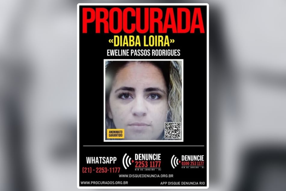 Mit Plakaten wie diesem wurde öffentlich nach dem "Blonden Teufel" gefahndet.
