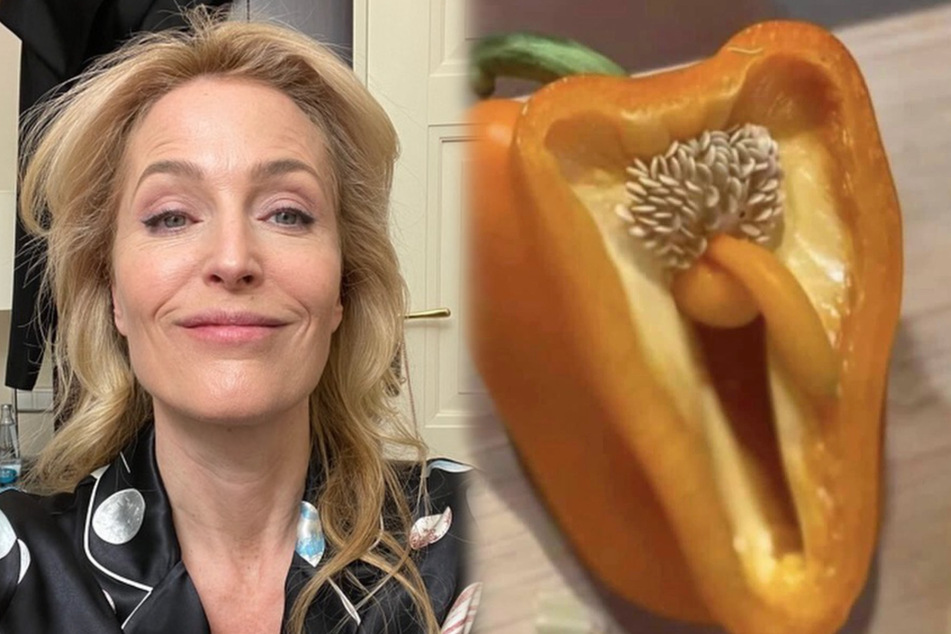 Das findet Gillian Anderson (52) offenbar ziemlich lustig: In dieser Paprika wächst ein kleiner Penis-Sprössling.