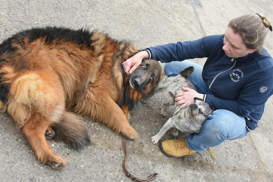Tierärztin Agnes Telligmann wird mit Schäferhund Masha bald in einem "Tatort" zu sehen sein.