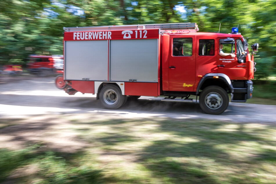 Waldboden brennt: Feuer im Stadtpark Meißen