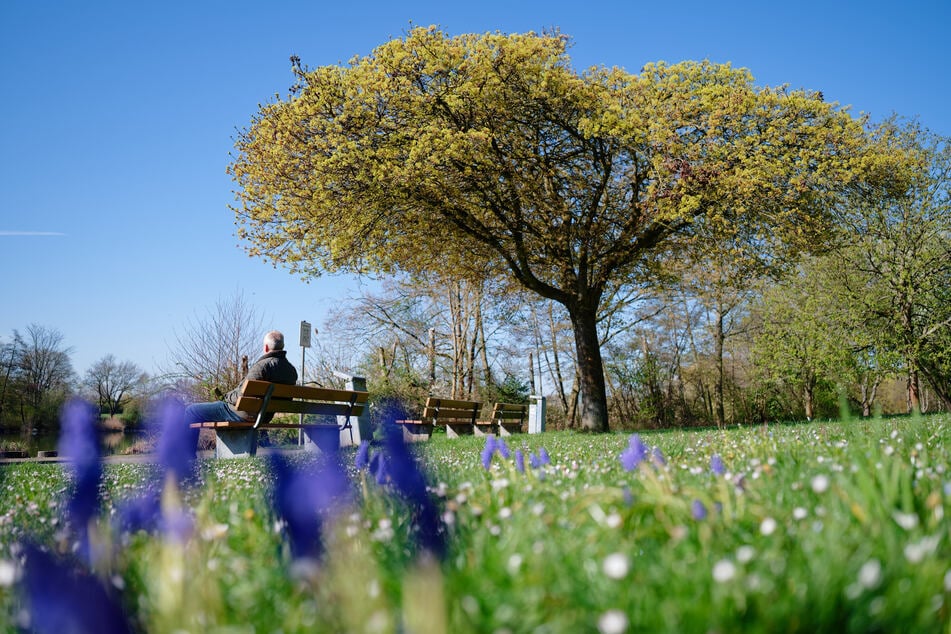 Zum Start in die neue Woche zeigt sich das Wetter ruhiger und weniger wolkig. (Symbolfoto)